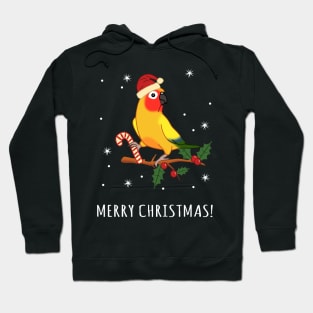 Merry christmas Sun Conure Hoodie